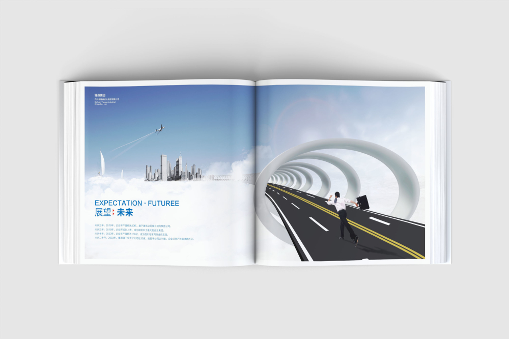 尧都区画册设计